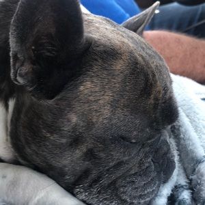 Meet your Posher, Bobby